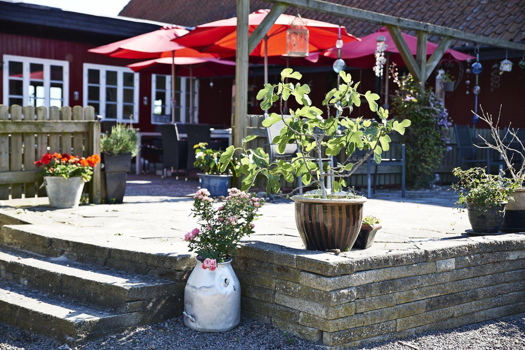 Rosengaarden Hostel Boderne Exterior photo